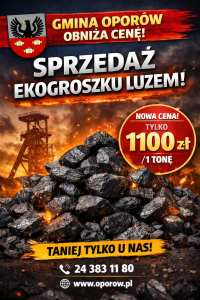 Obniżka ceny węgla