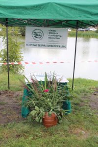 Dożynki 2018