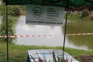Dożynki 2018