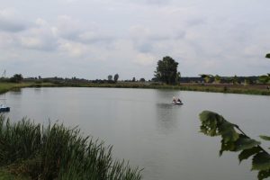 Dożynki 2018