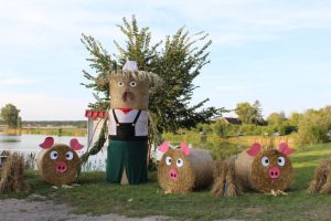 Dożynki 2019