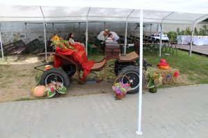 Dożynki 2023